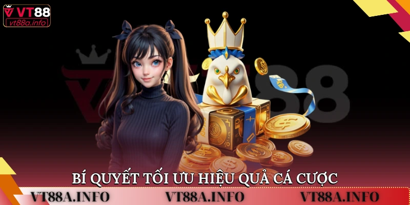 Bí quyết tối ưu hiệu quả cá cược