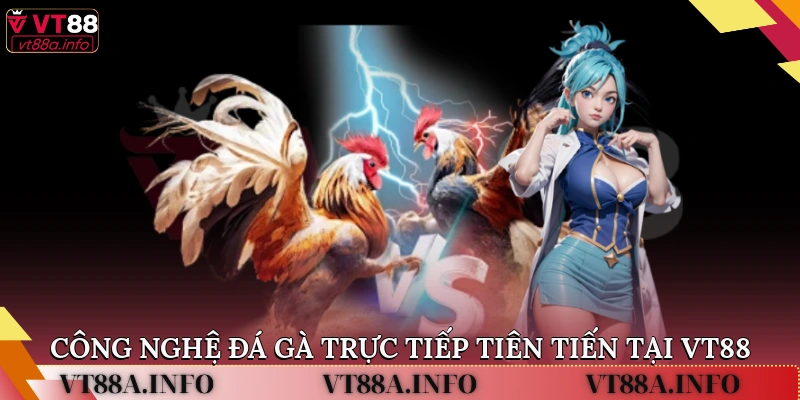 Công nghệ đá gà trực tiếp tiên tiến tại VT88