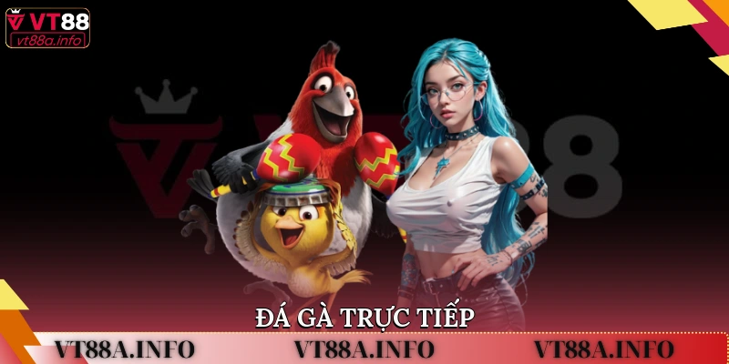 đá gà trực tiếp