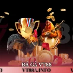 Đá Gà VT88