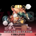 hoàn trả đá gà VT88
