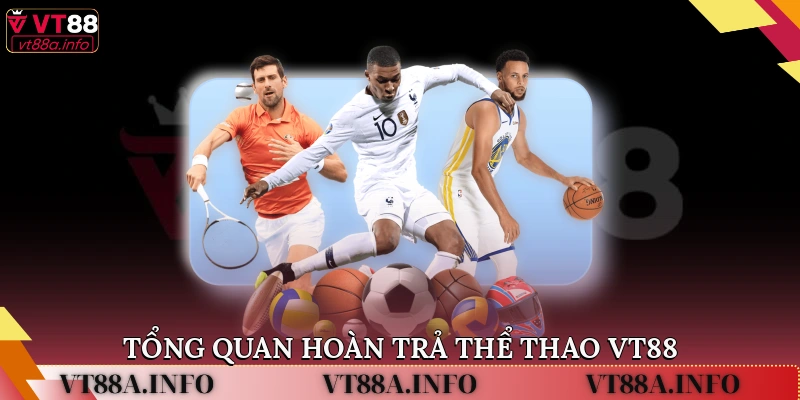 Tổng quan hoàn trả thể thao VT88