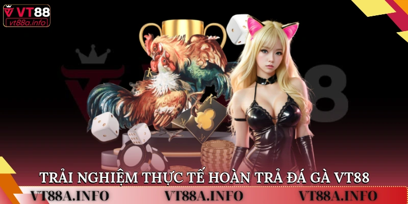 Trải nghiệm thực tế hoàn trả đá gà VT88